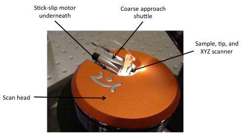 Easycan STM stick-slip coarse approach motor